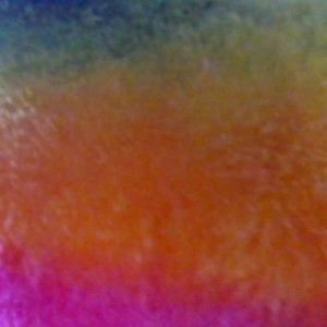 Meet your Posher, Sophia